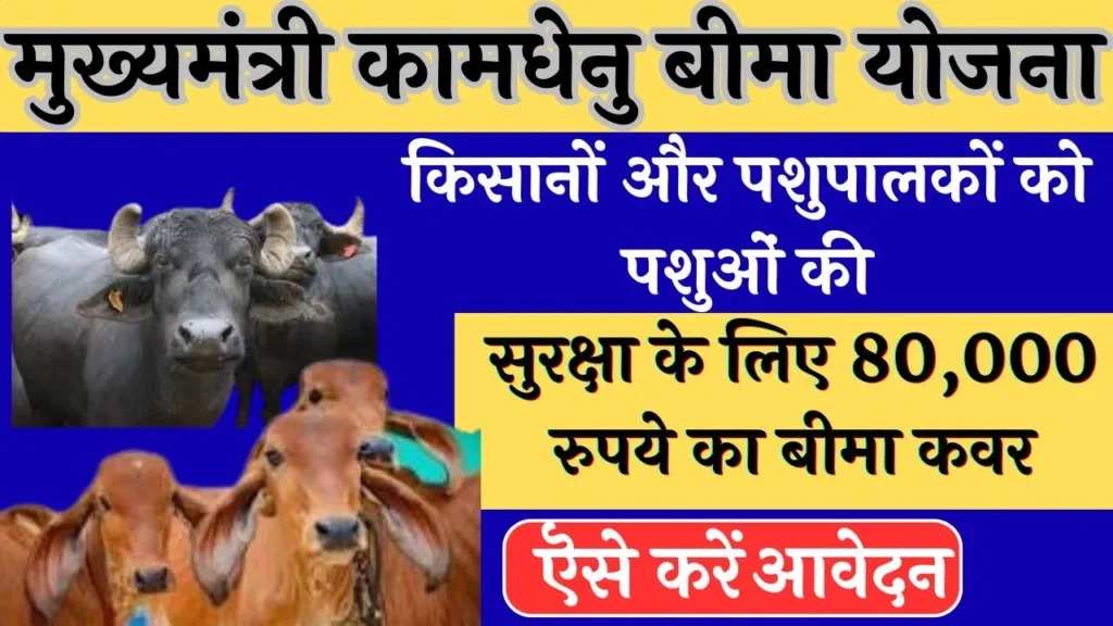 मुख्यमंत्री कामधेनु बीमा योजना