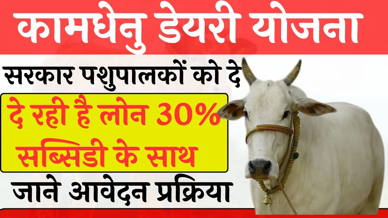 कामधेनु डेयरी योजना