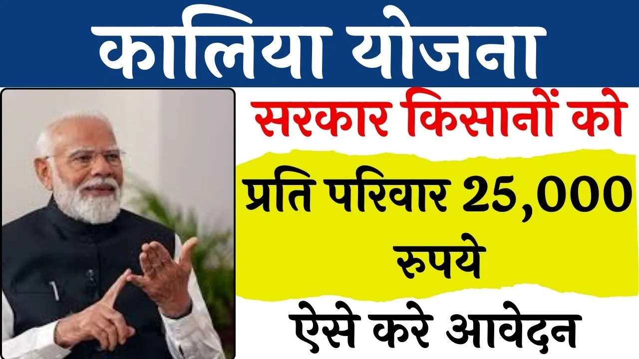 Kalia Yojana