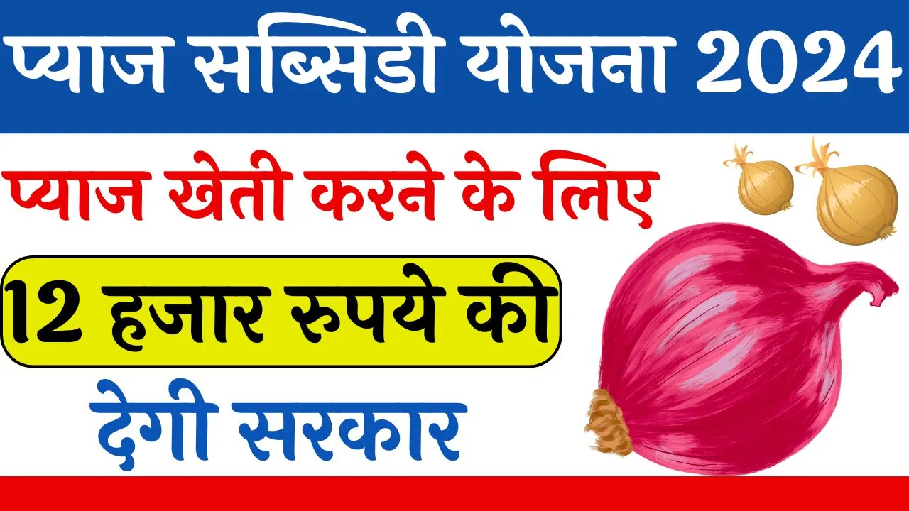 Onion Subsidy Yojana