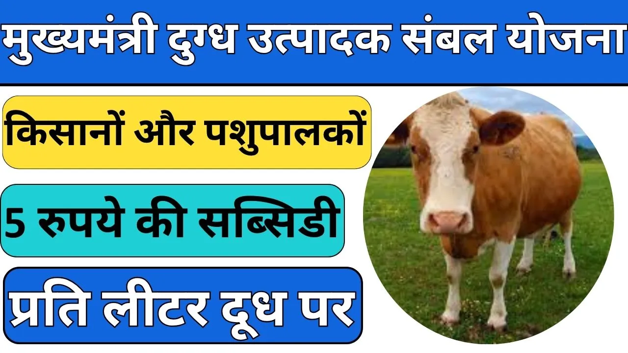 Mukhymantri Dugdh Utpadak Sambal Yojana